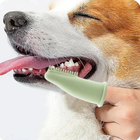 Super Soft Pet Finger Toothbrush