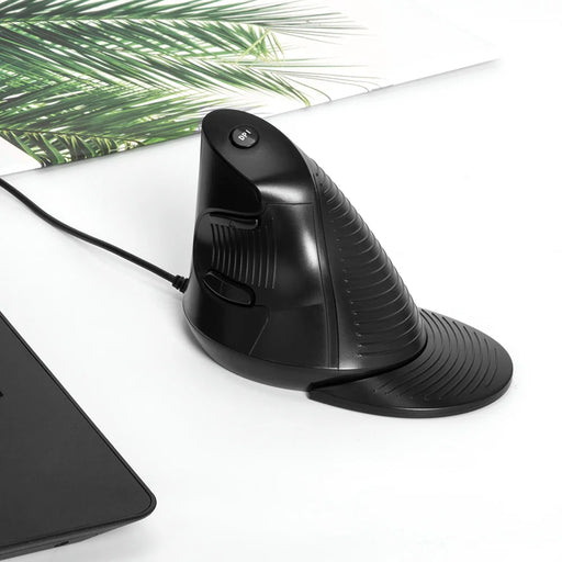 Delux M618 BU Ergonomic Vertical Mouse