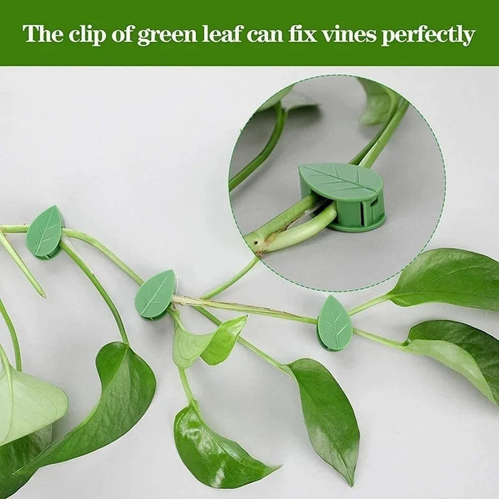 10 Pcs Leaf-shaped Plant Climber Self-adhesive Invisible Garden Hook Fixing Clip Supports Climbing Home Traces Accessories